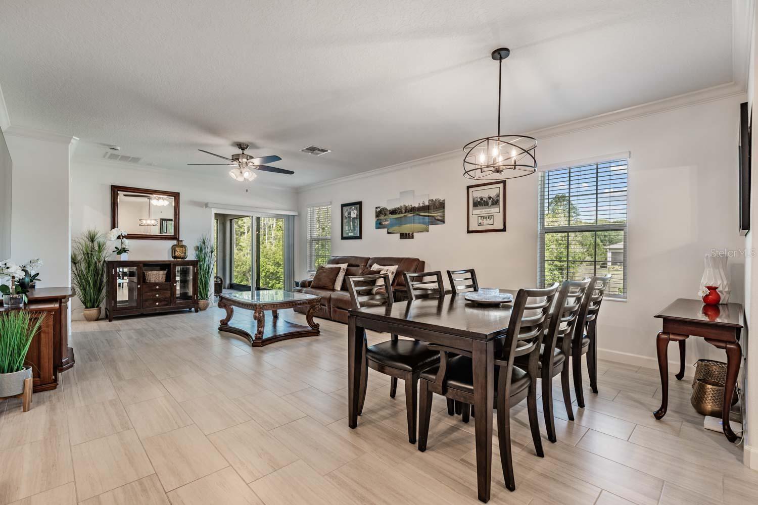 Open concenpt living