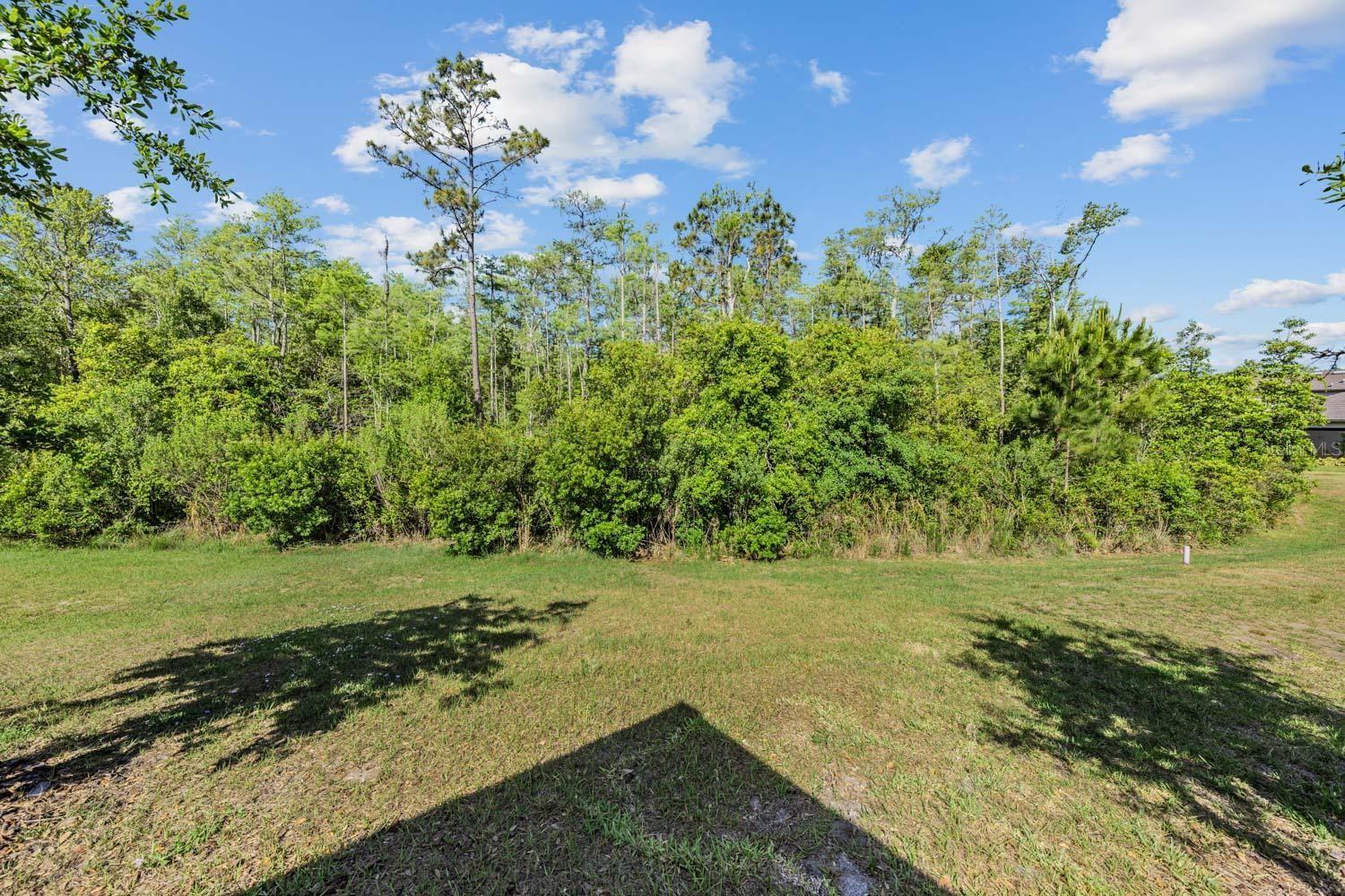 Conservation view