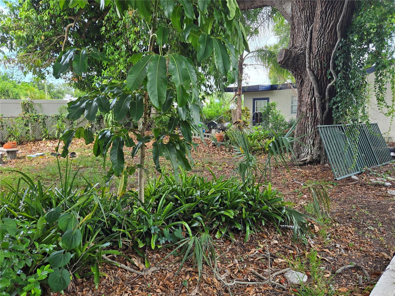 Vacant parcel
