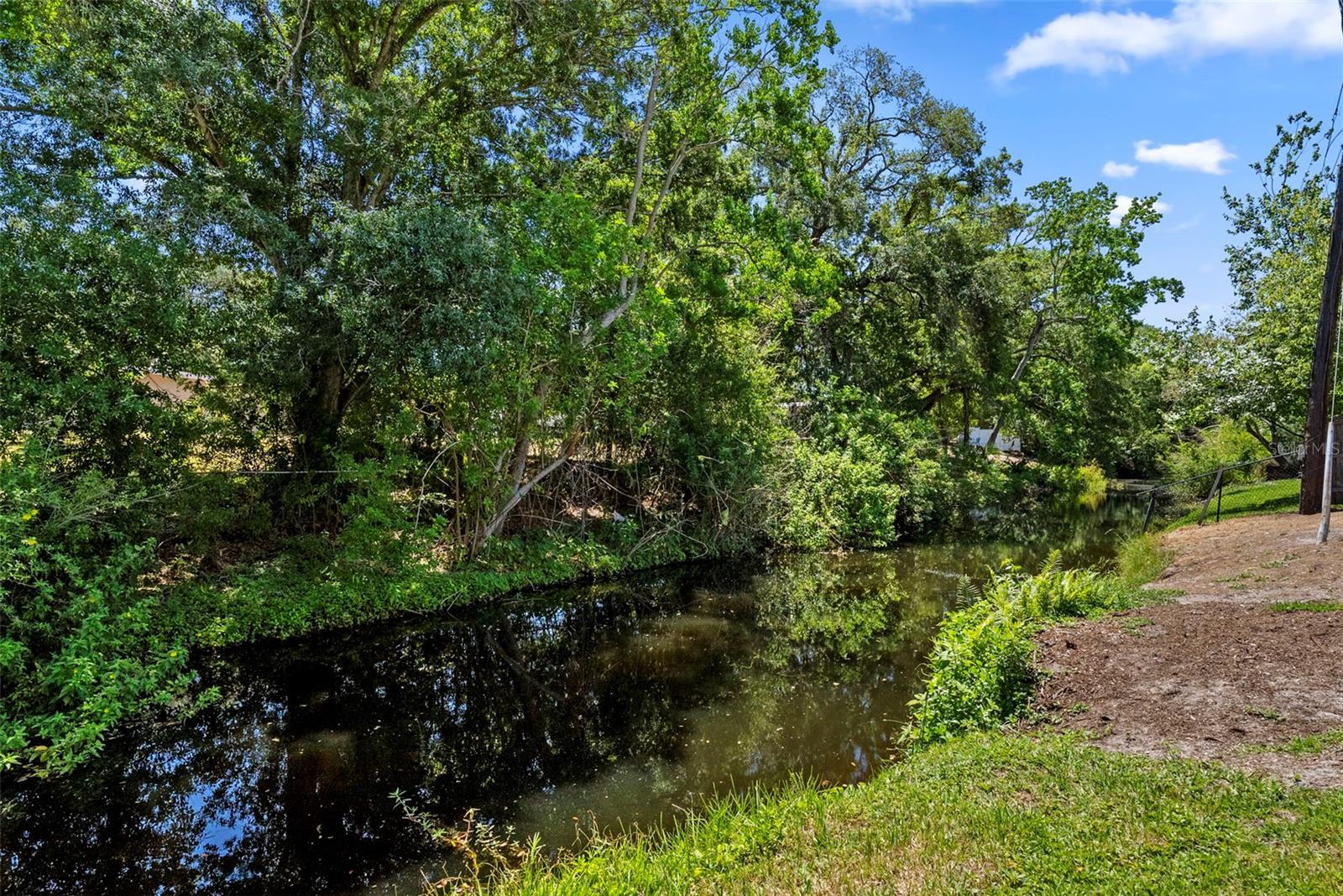 Allen's Creek: Turtles, Otters, & Birds!