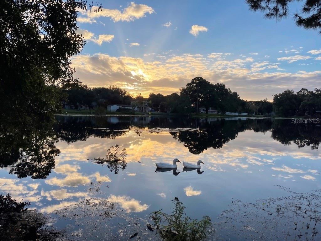 Sun Set Lake
