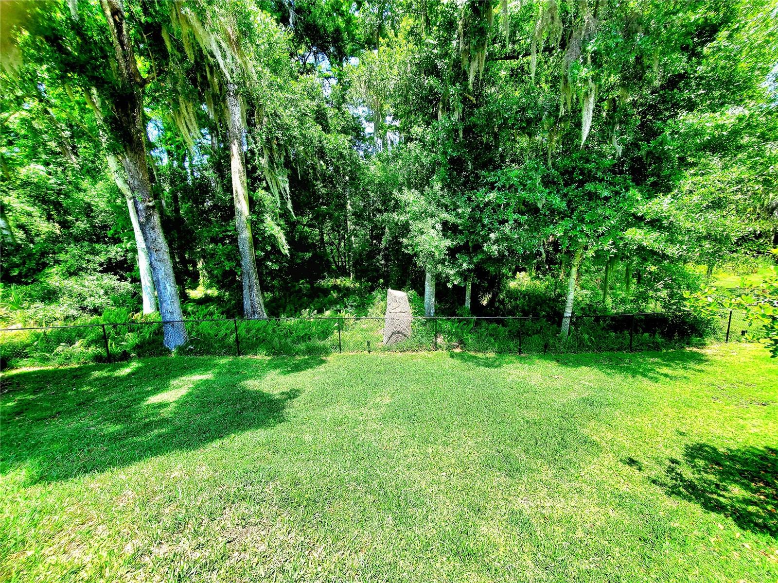 PRESERVE VIEW