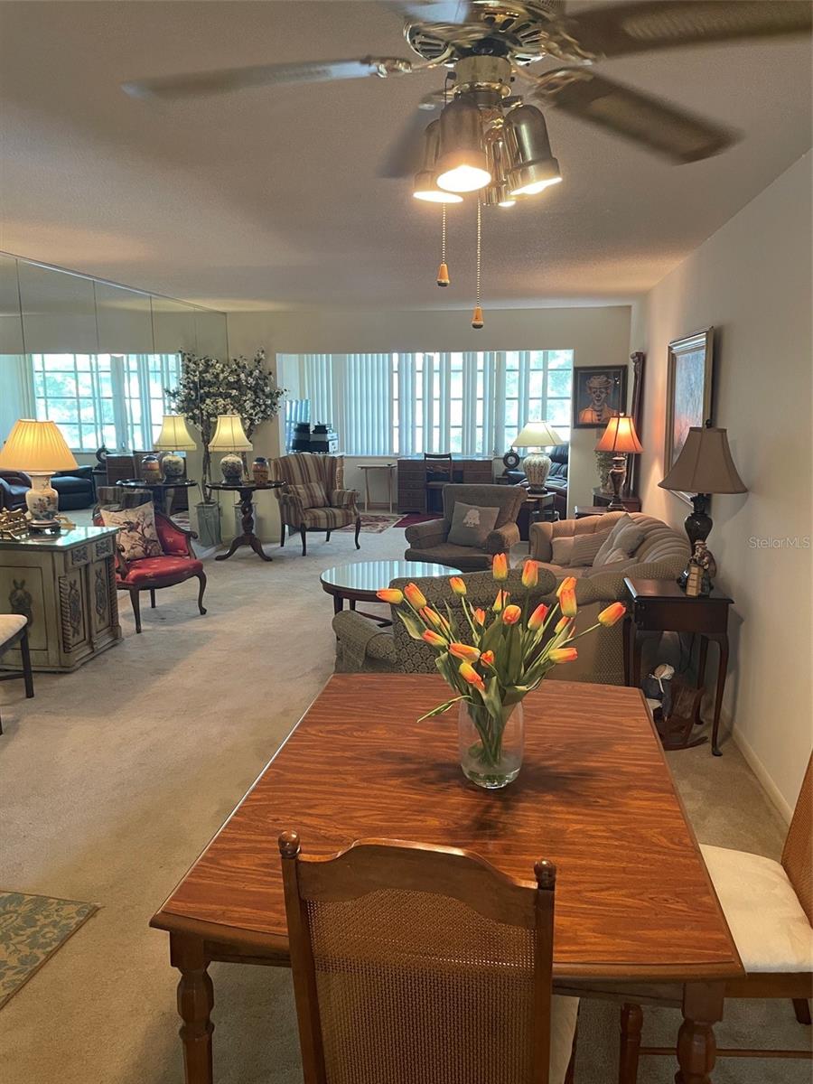 Spacious living room