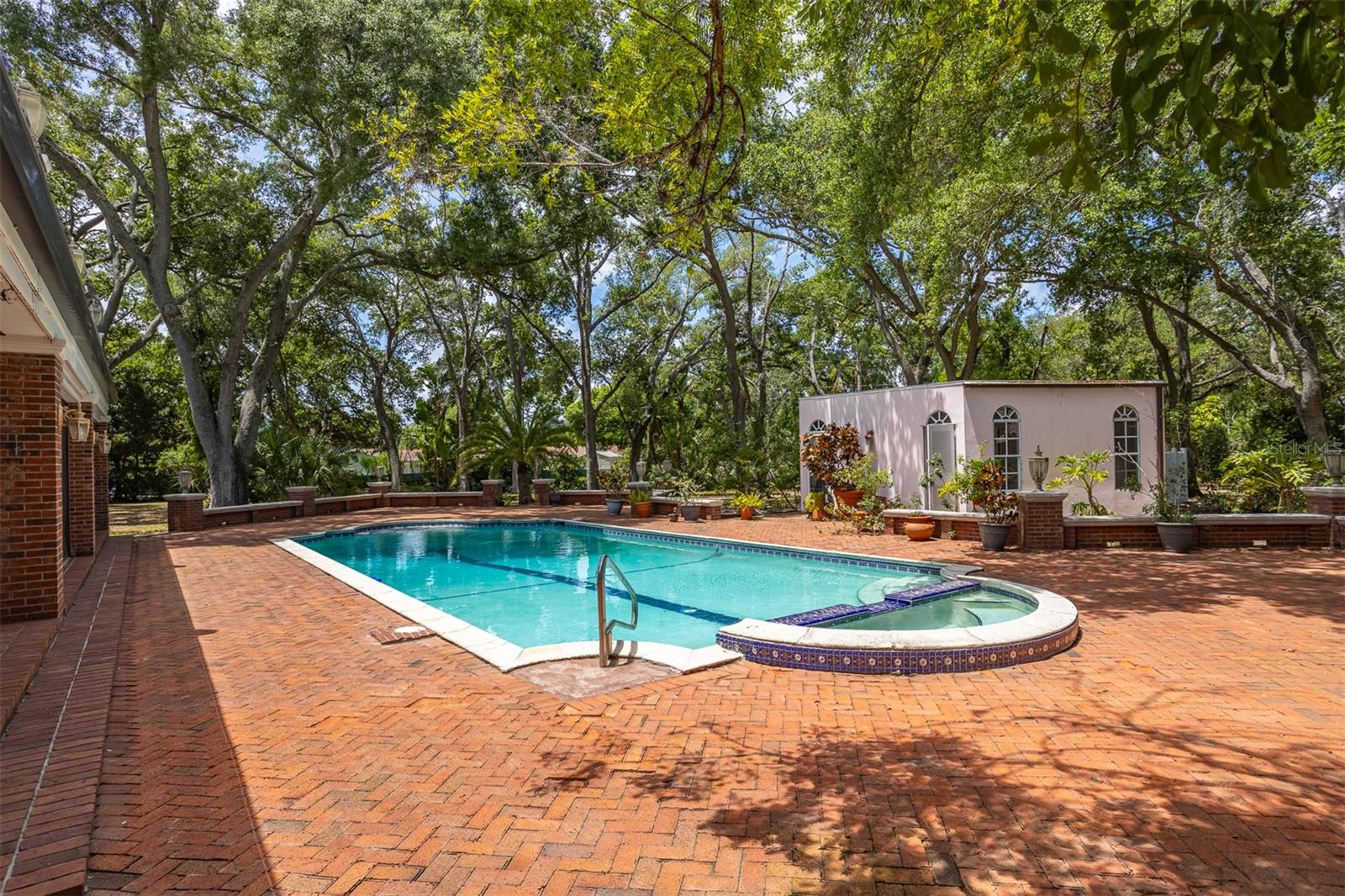 Backyard Oasis