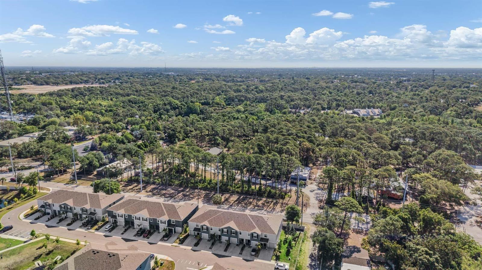 ARIEL VIEW OF AREA