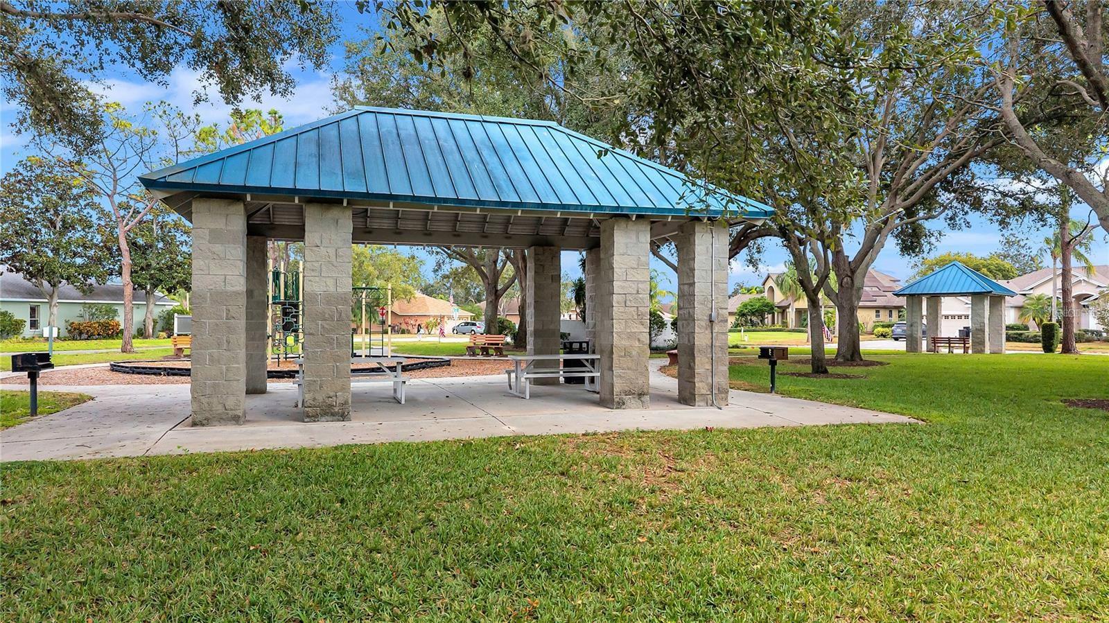 Community pavilion and grills by the park~