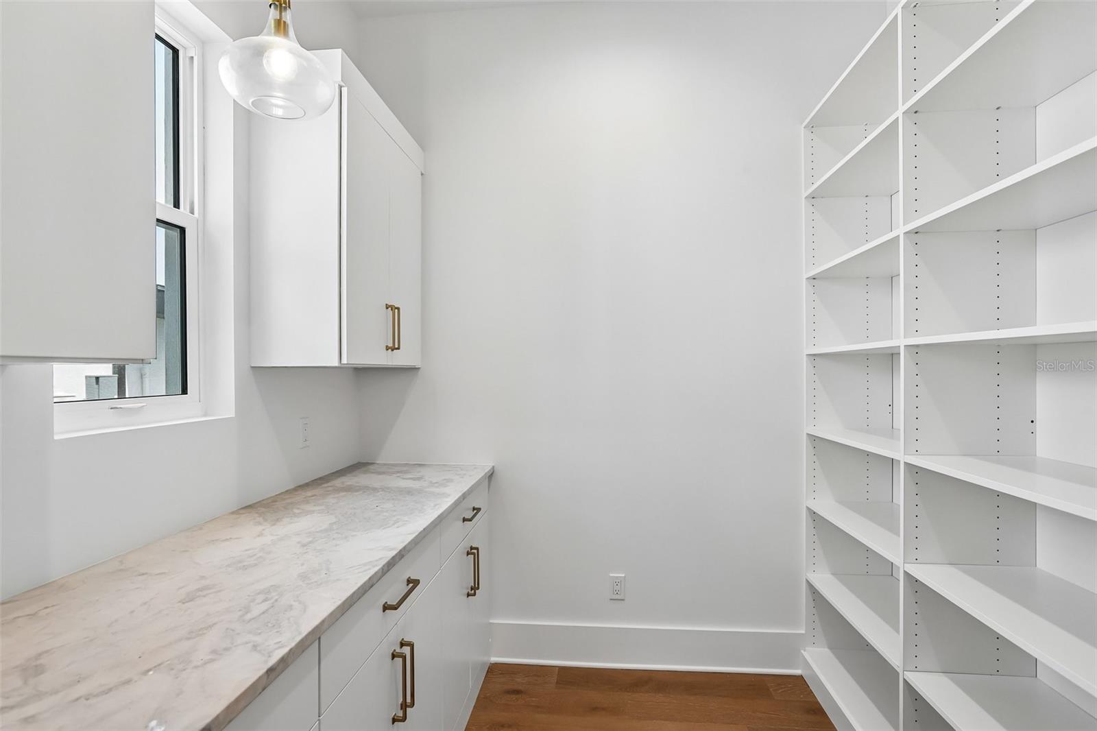 Walk In Pantry