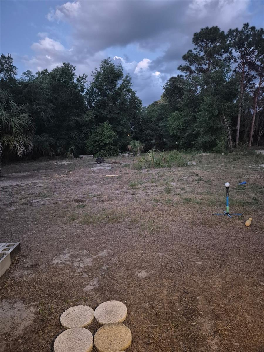 The back yard is a huge blank slate to bring your vision to life!