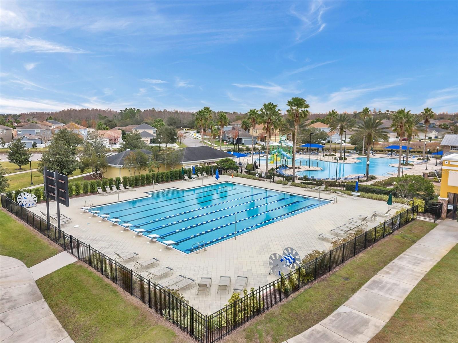 Lap Pool