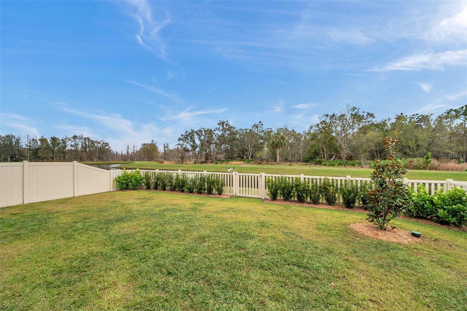 Backyard Preserve View
