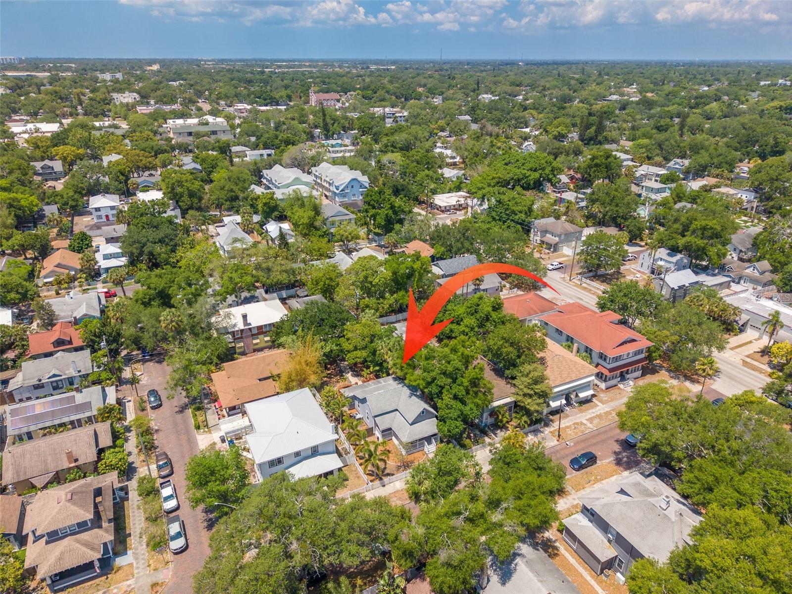 Extra Large lot with a Backyard and Alley Parking- 3 Cars!!!! Plus street parkiing