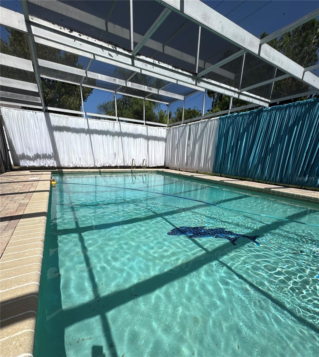 pool