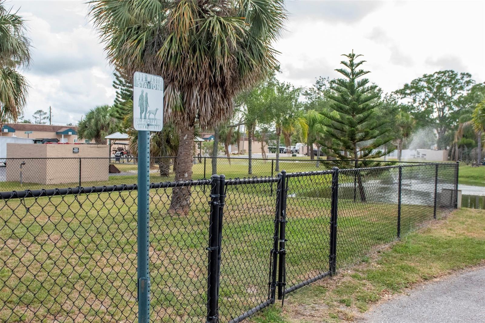 Dog Park