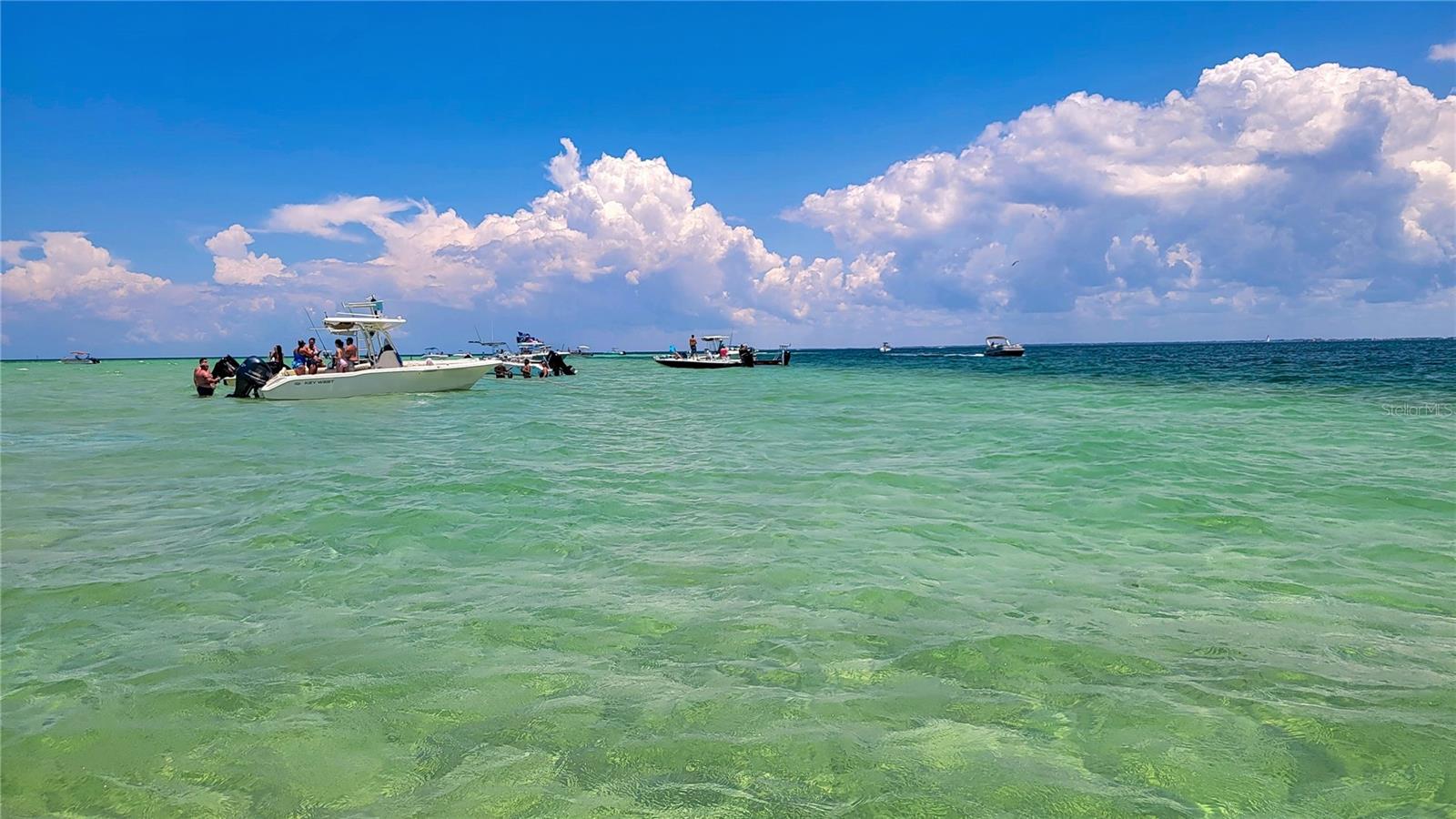 Anclote Sand Bar!!