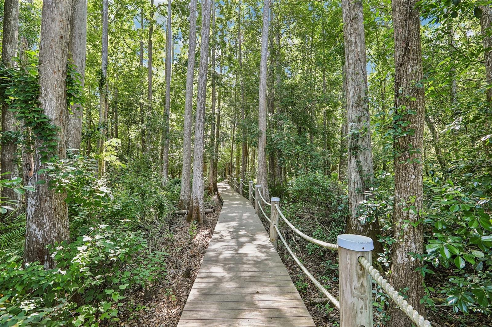 450ft Nature Boardwalk to Lake