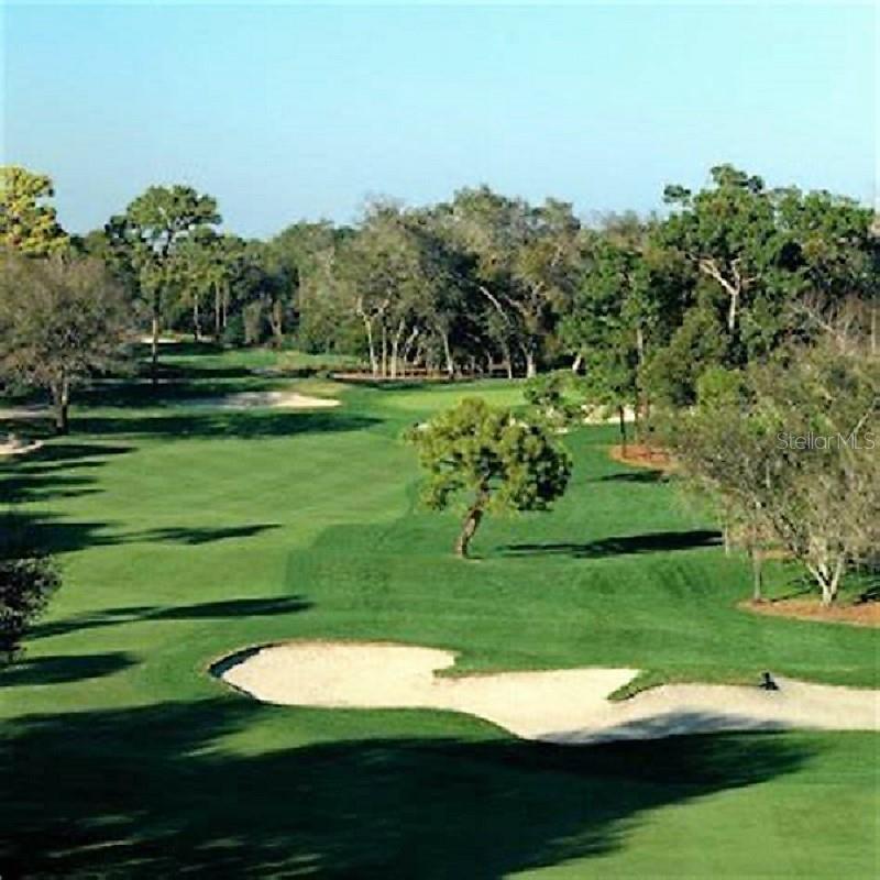 GOLF COURS