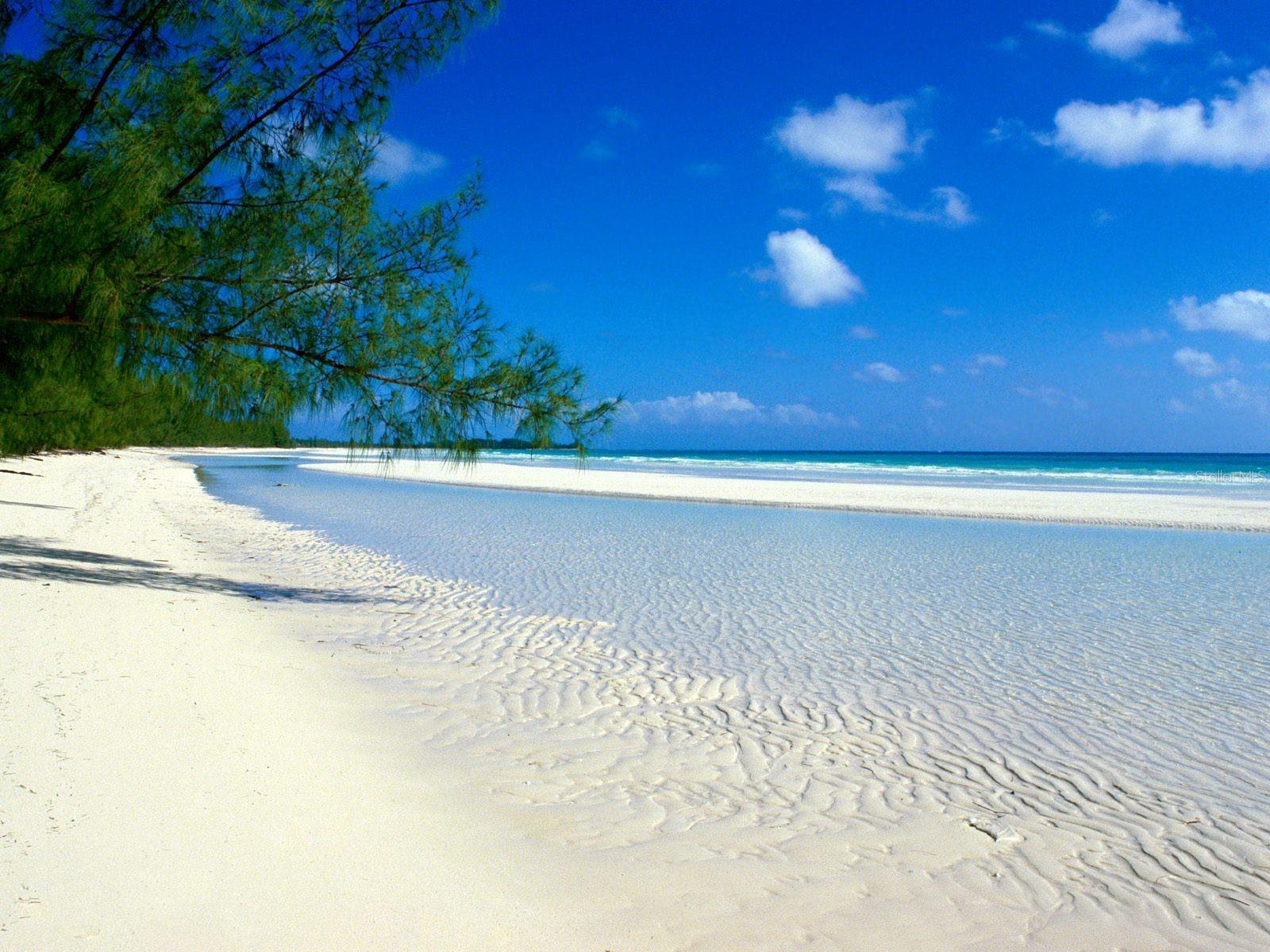 SEVERAL AREA BEACHES AND PARKS