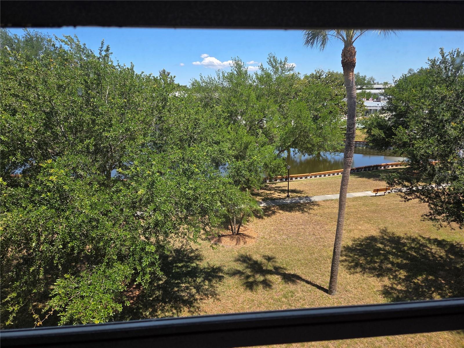 View From Lani/Florida Room