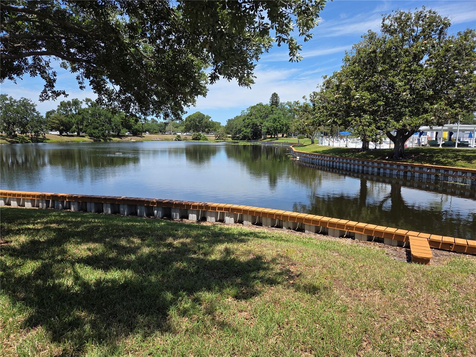 Pond