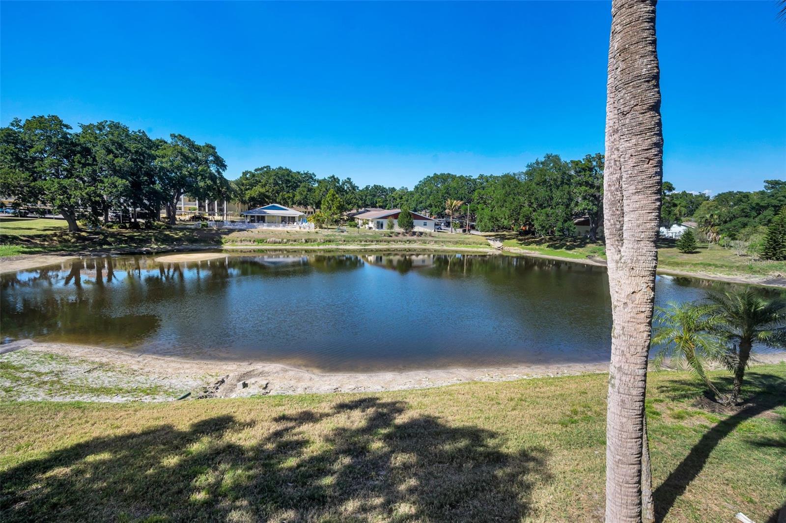 Tranquil pond,a peaceful view after a long day, lots of  wildlife to observe