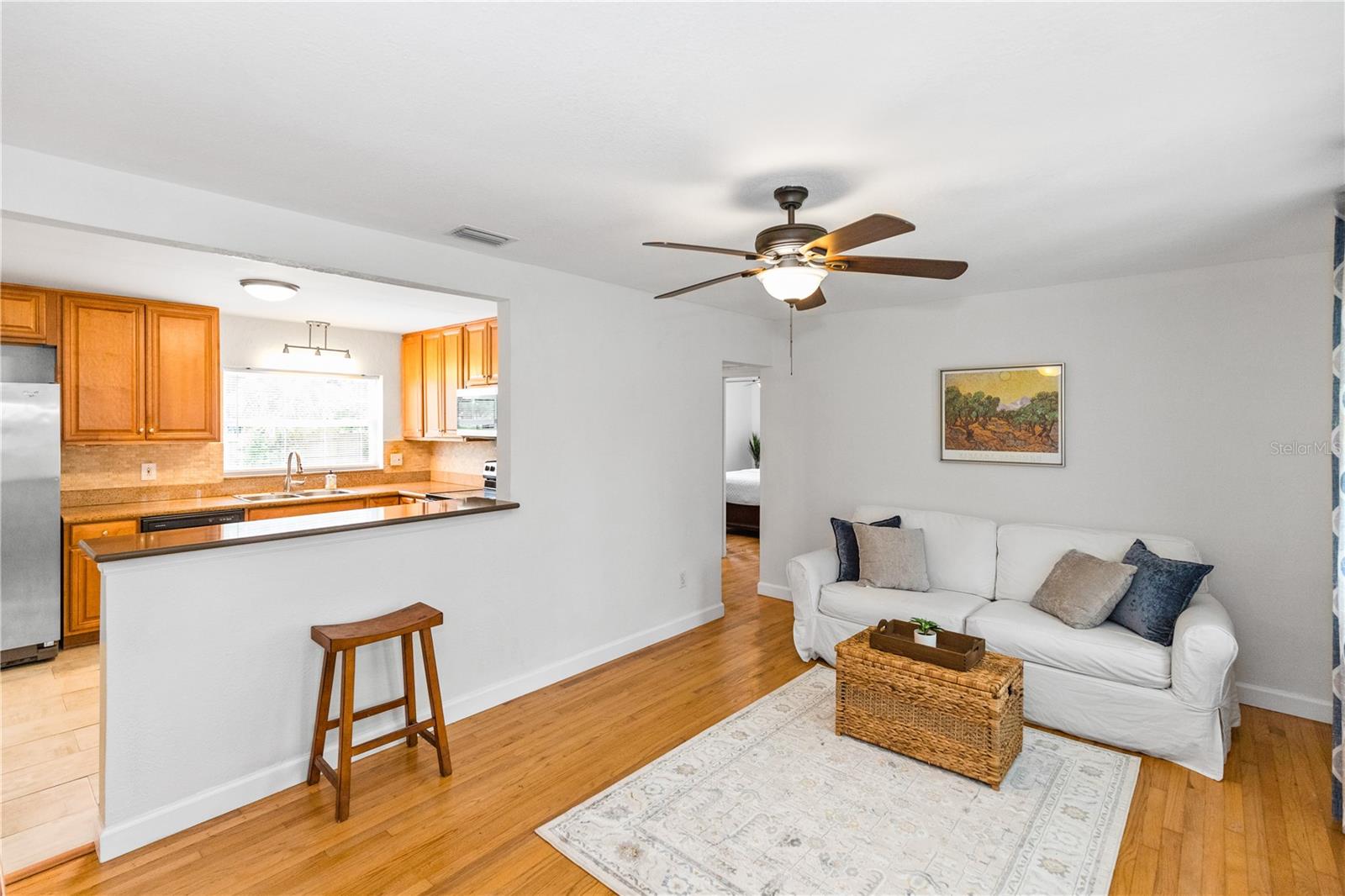 Living room open to kitchen