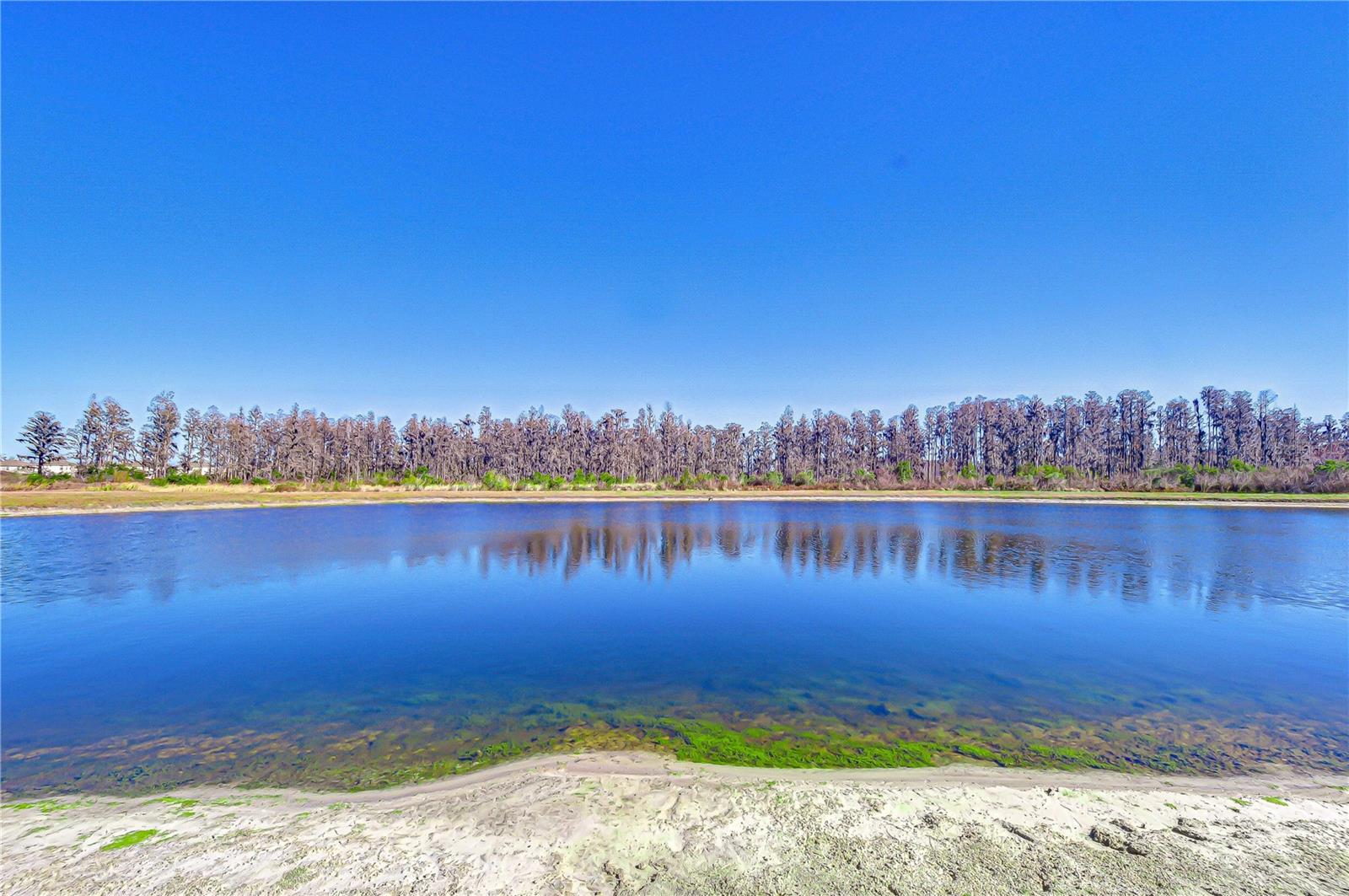 Scenic pond bordered by lush conservation.