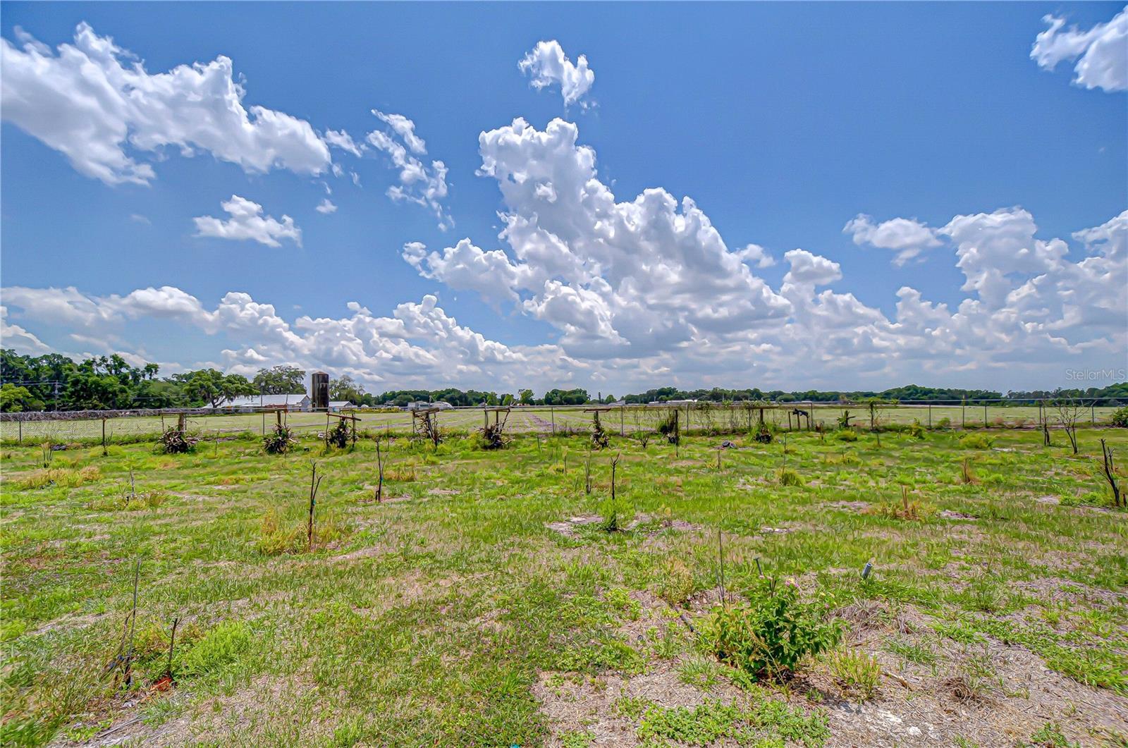 Space, privacy & fresh air — this is country living
