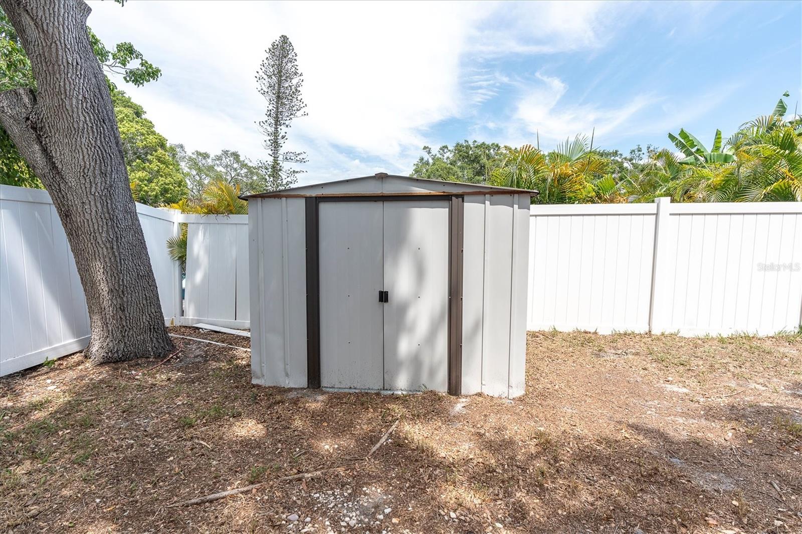 Shed