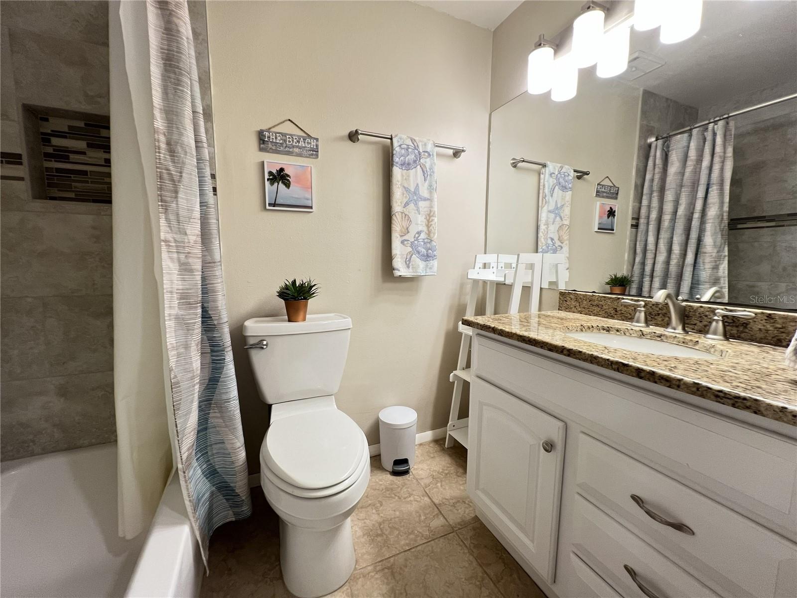 Primary Bathroom Tub/Shower