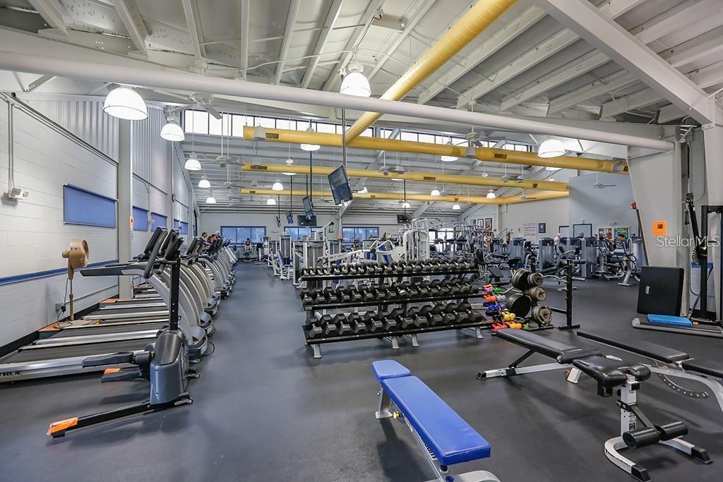 SCC Gym