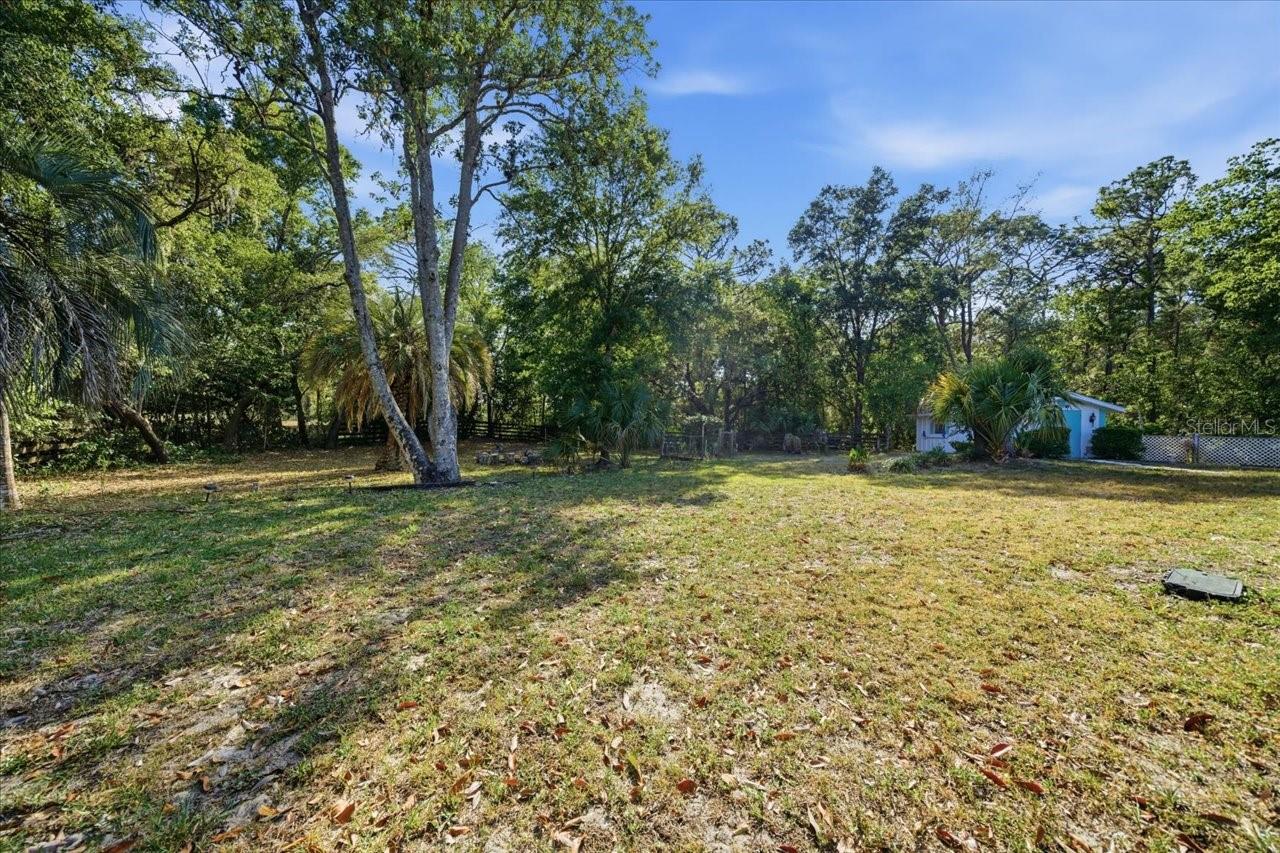 Back Yard