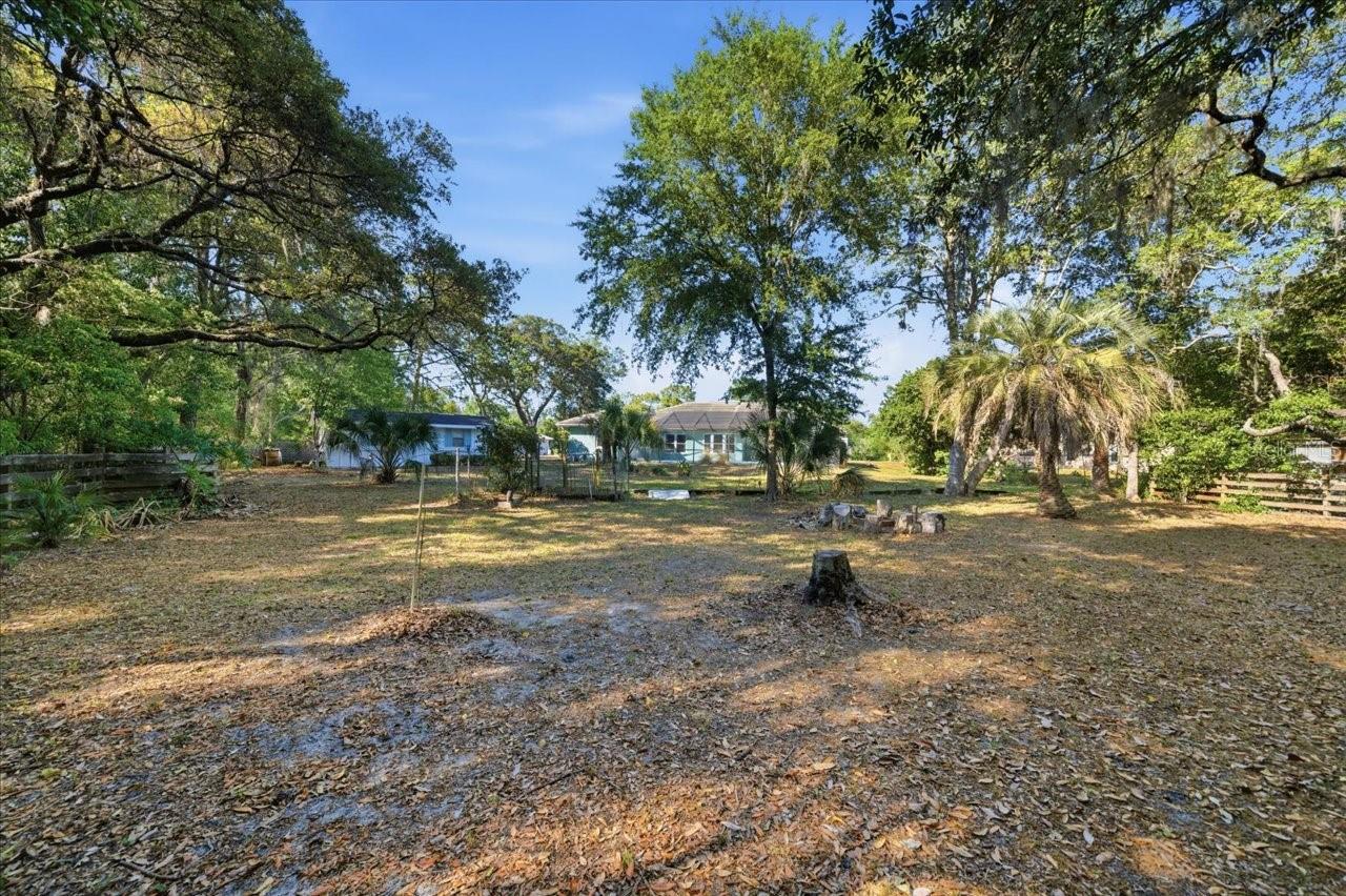 Back Yard