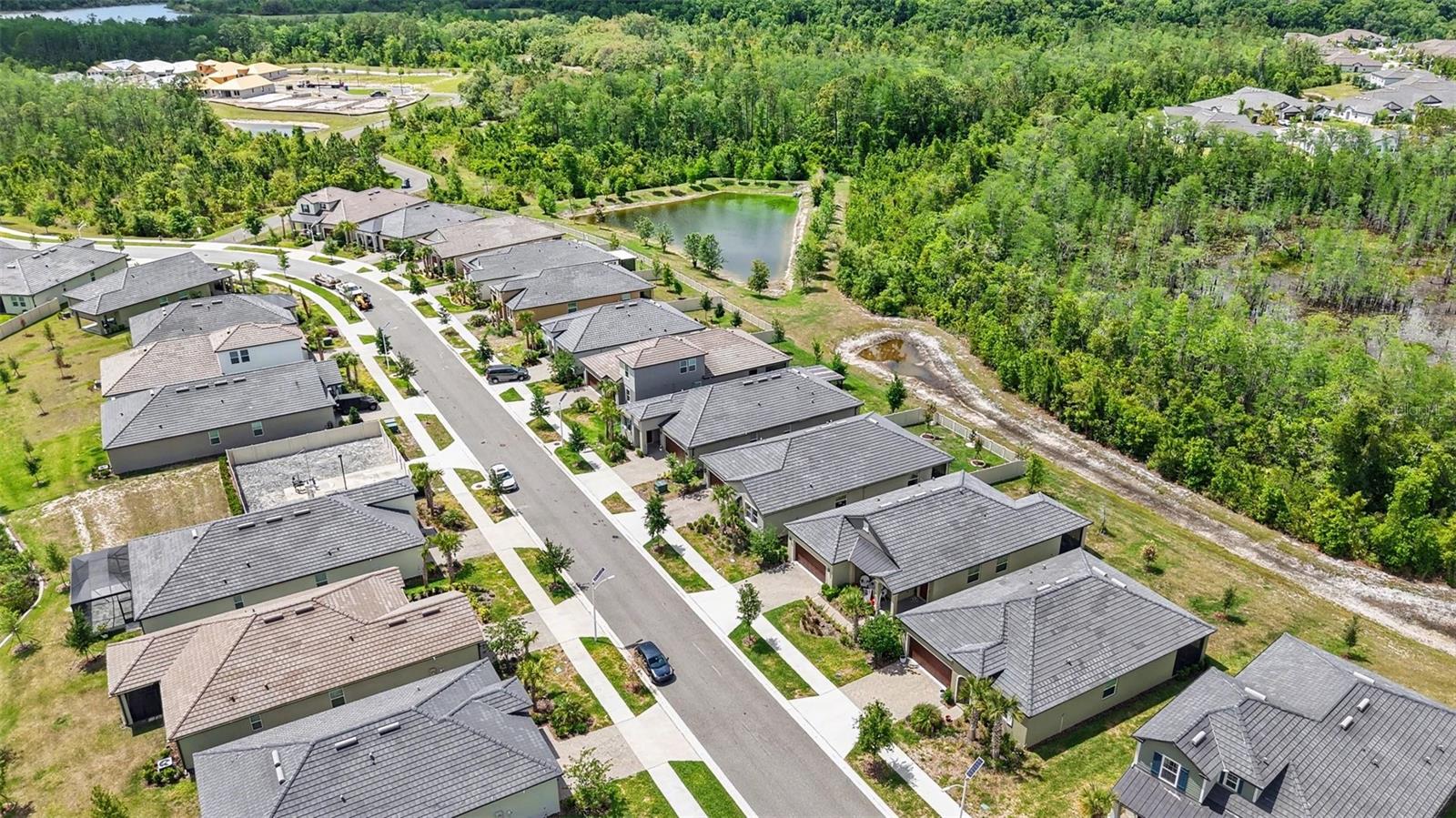 Arial view of Street
