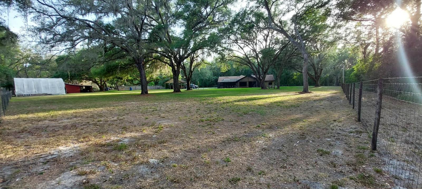 Yard