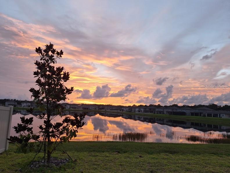 Your backyard view