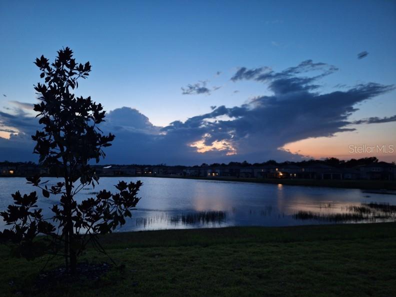 Your backyard view