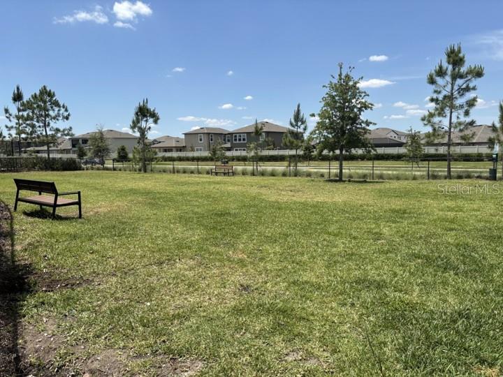 Dog park