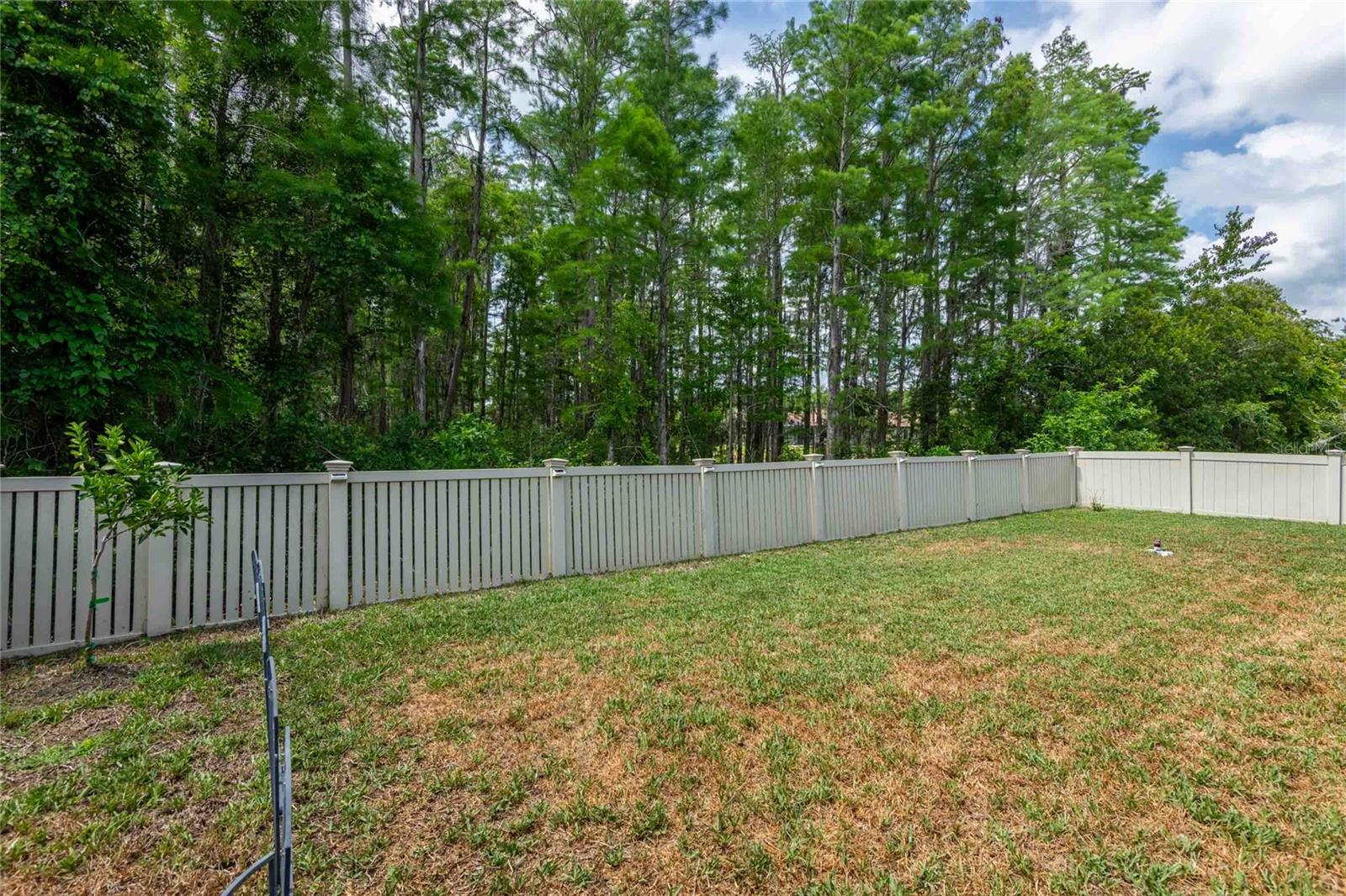 Large backyard.