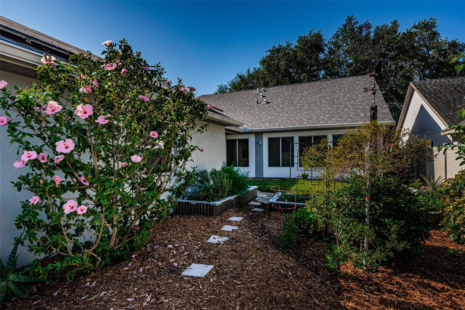Back yard