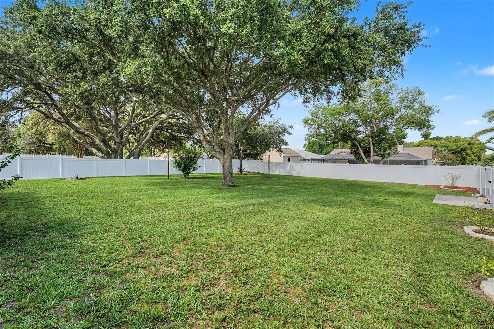 HUUUGE FENCED BACKYARD!