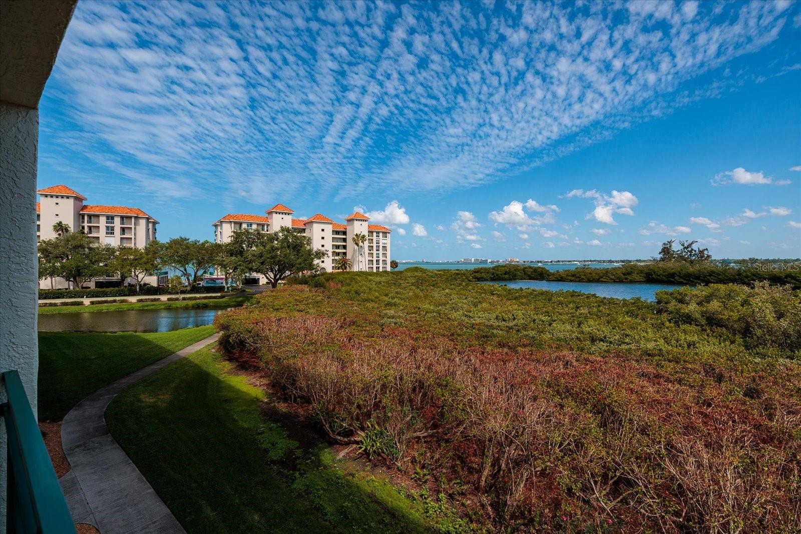 Marsh with Boca Ciega Bay beyond