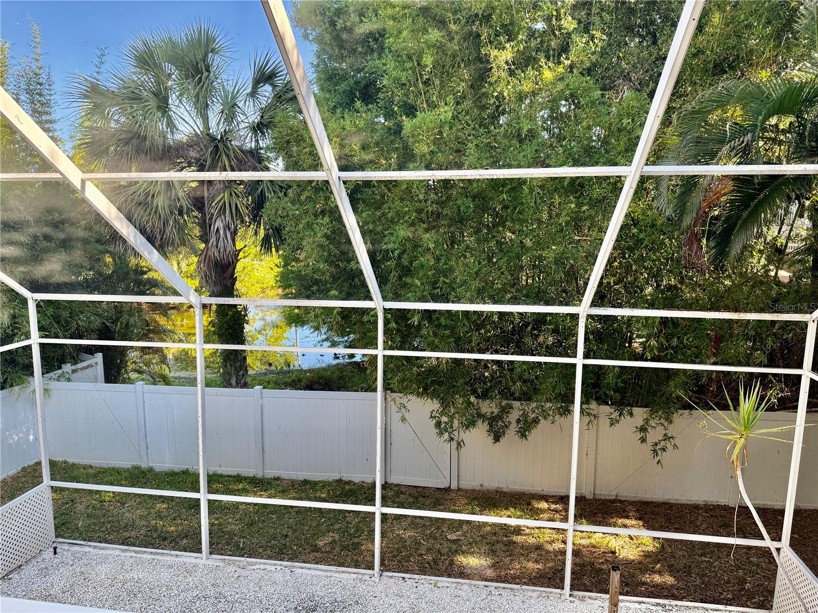 Backyard - view from 2nd floor
