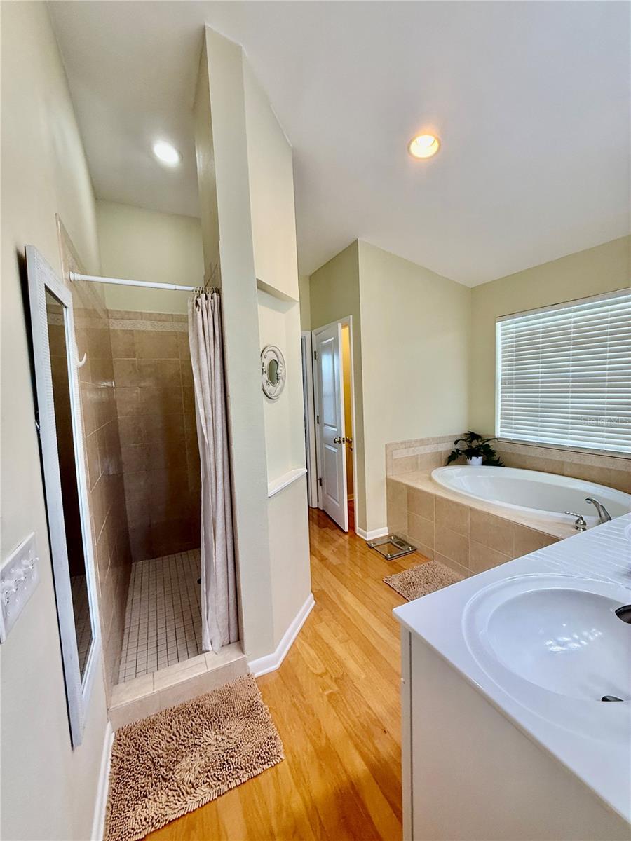 Master Bath, Shower & Tub