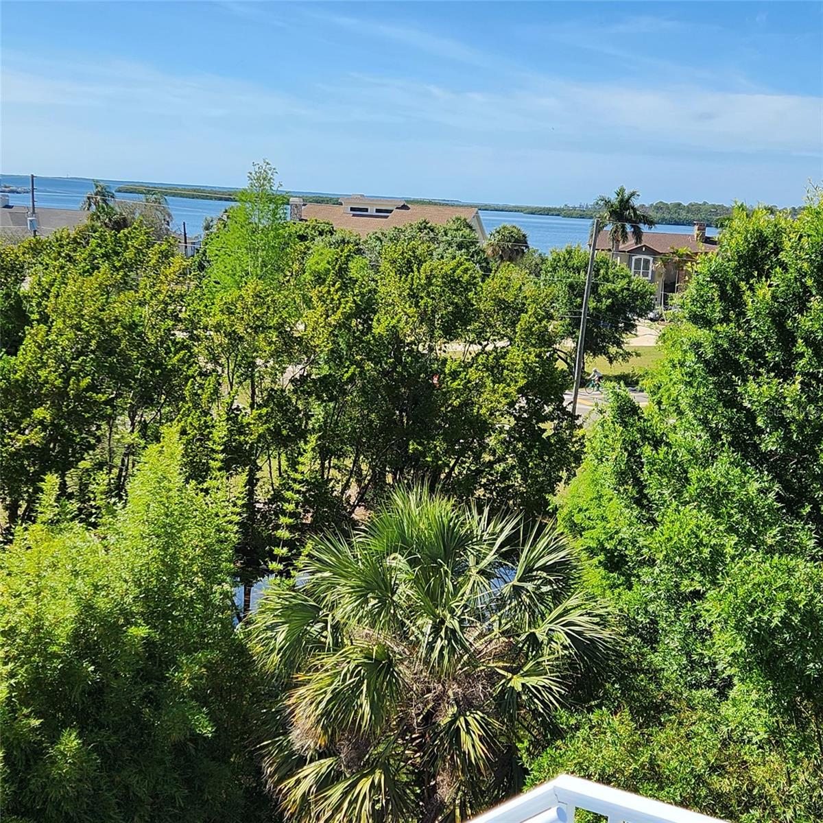 view from Widow's Walk