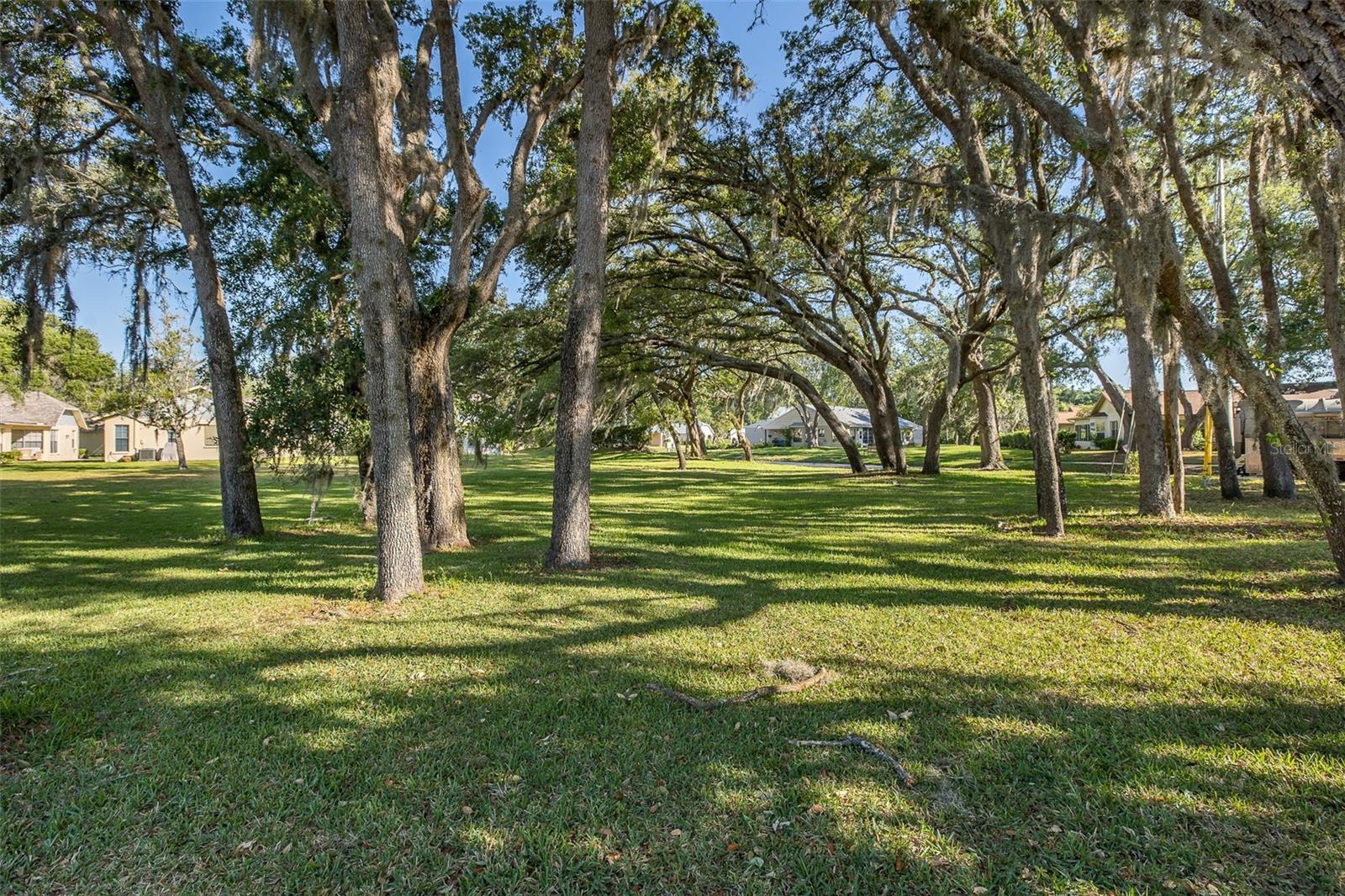 Back yard