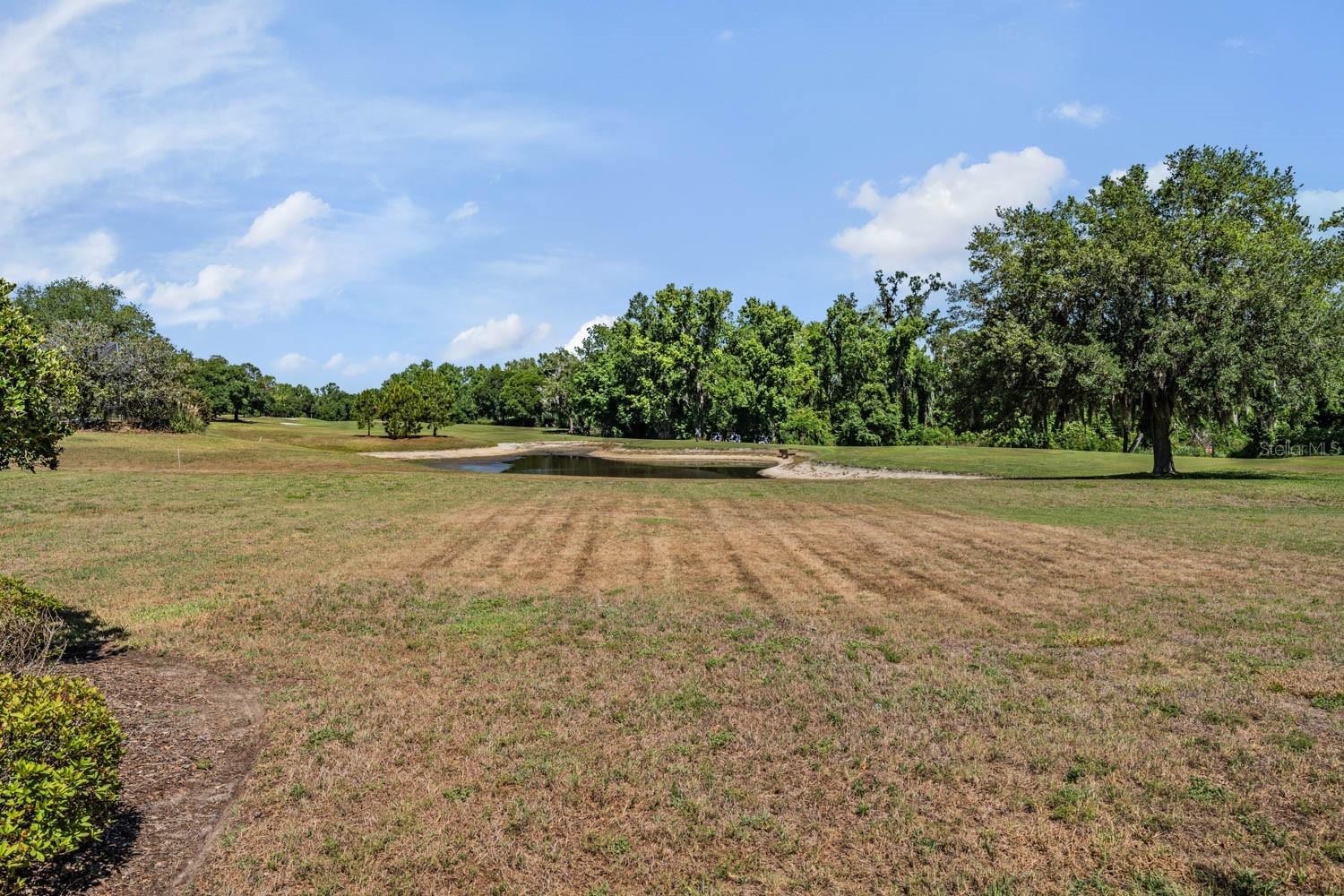 Large lawn and golf course views with pond in the backyard