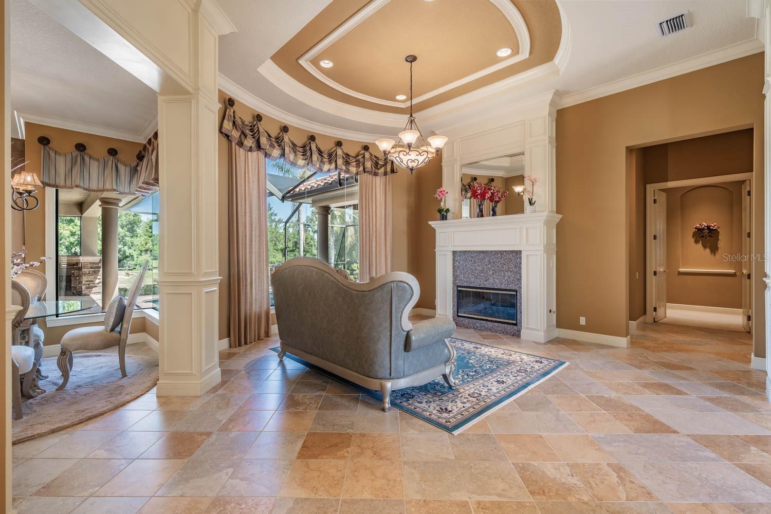 Gas fireplace with glass front and decorative tray ceiling in the living room