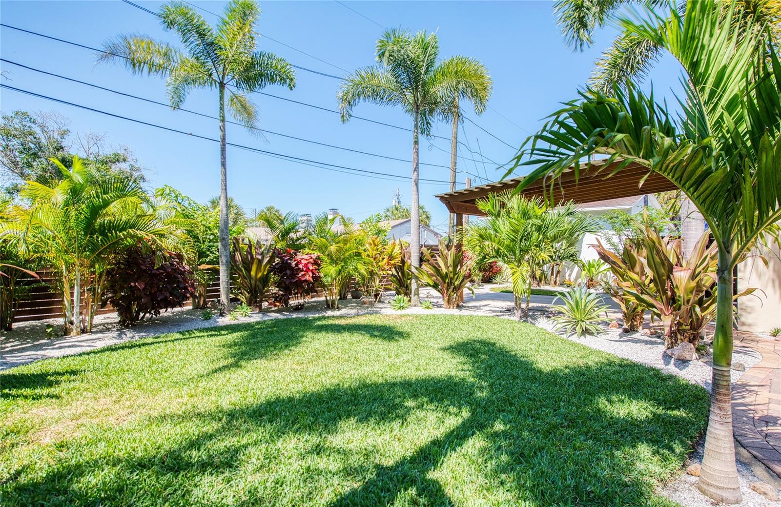 CASA BAJA: Lush Backyard