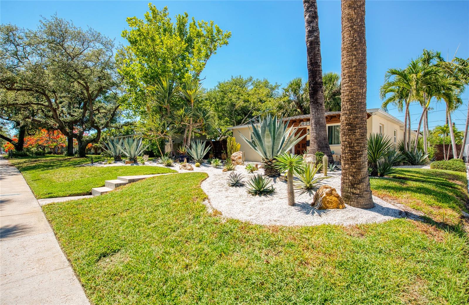 CASA BAJA: Front Area showing lot elevation
