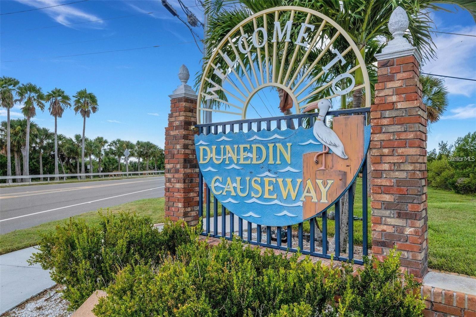 Just miles to the Dunedin Causeway & Honeymood Island~